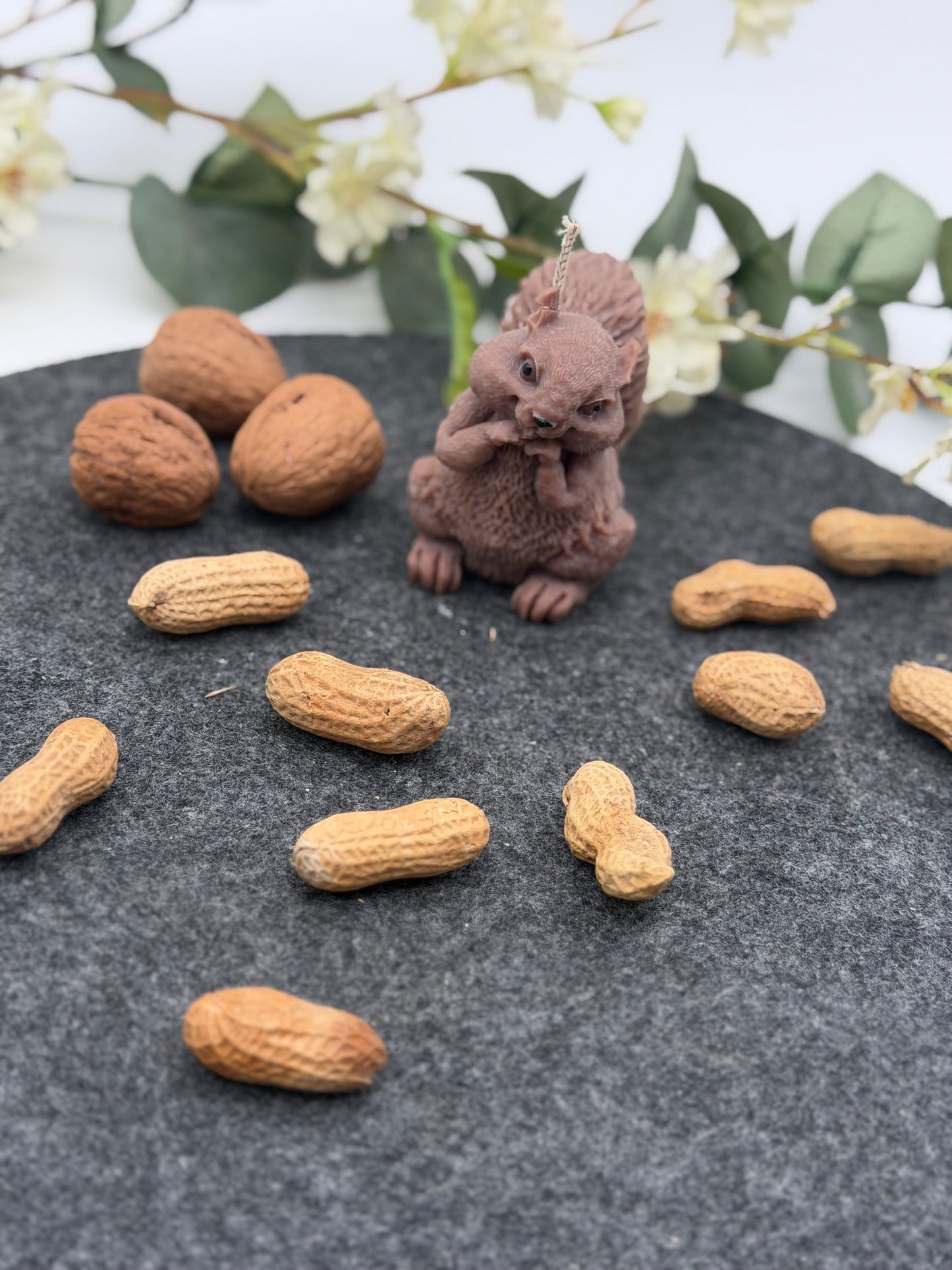 Schnuffel mit Nuss /Eichhörnchen