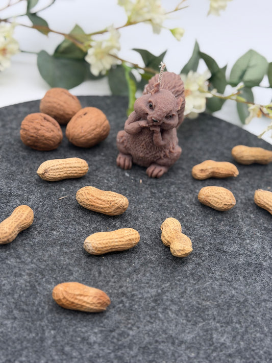 Schnuffel mit Nuss /Eichhörnchen