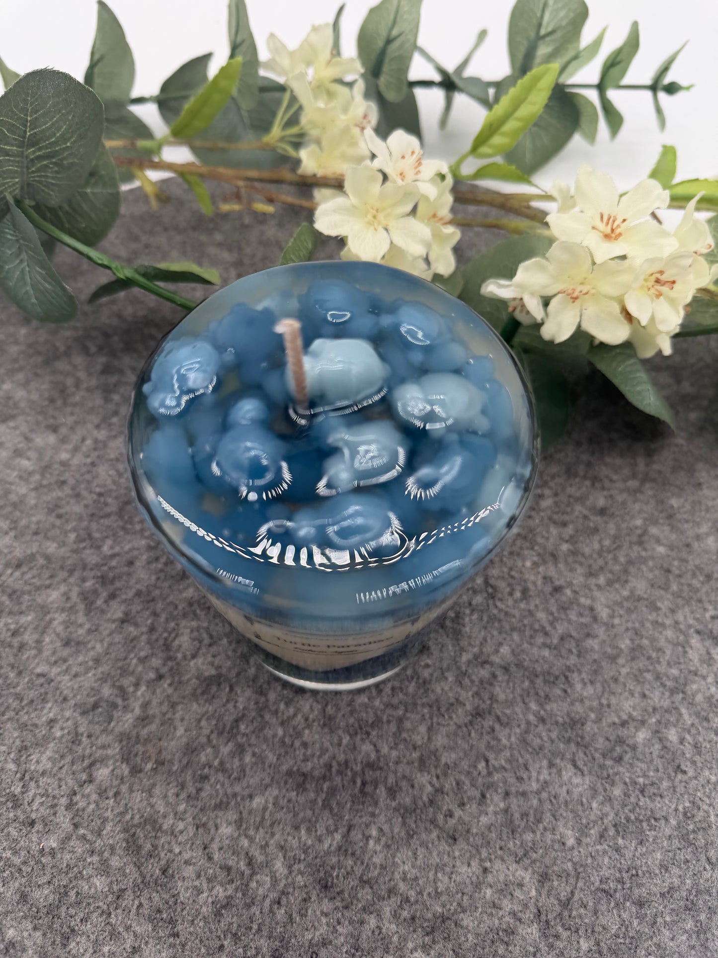 NEU Turtle Paradies 🕯️🐢