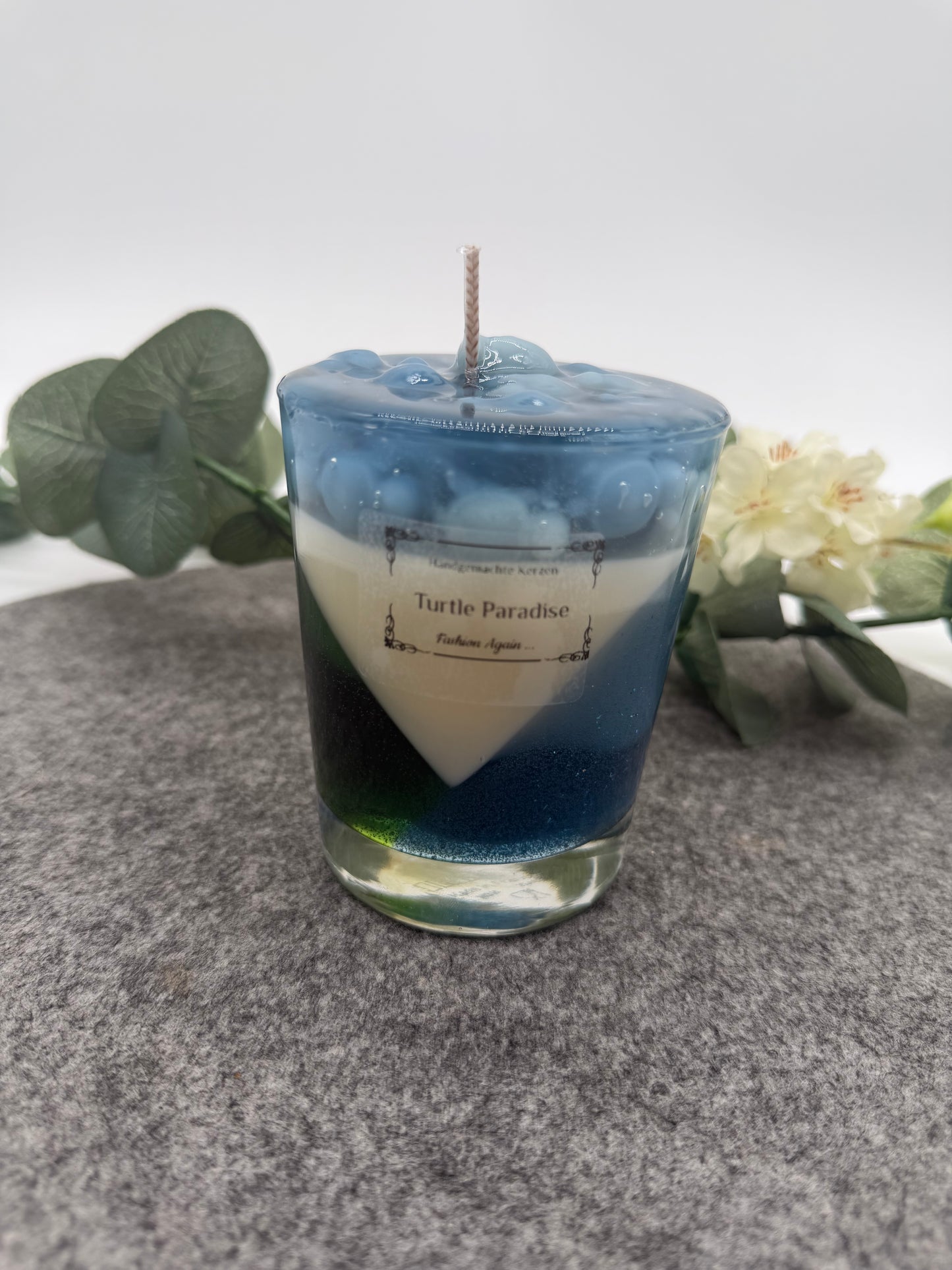 NEU Turtle Paradies 🕯️🐢