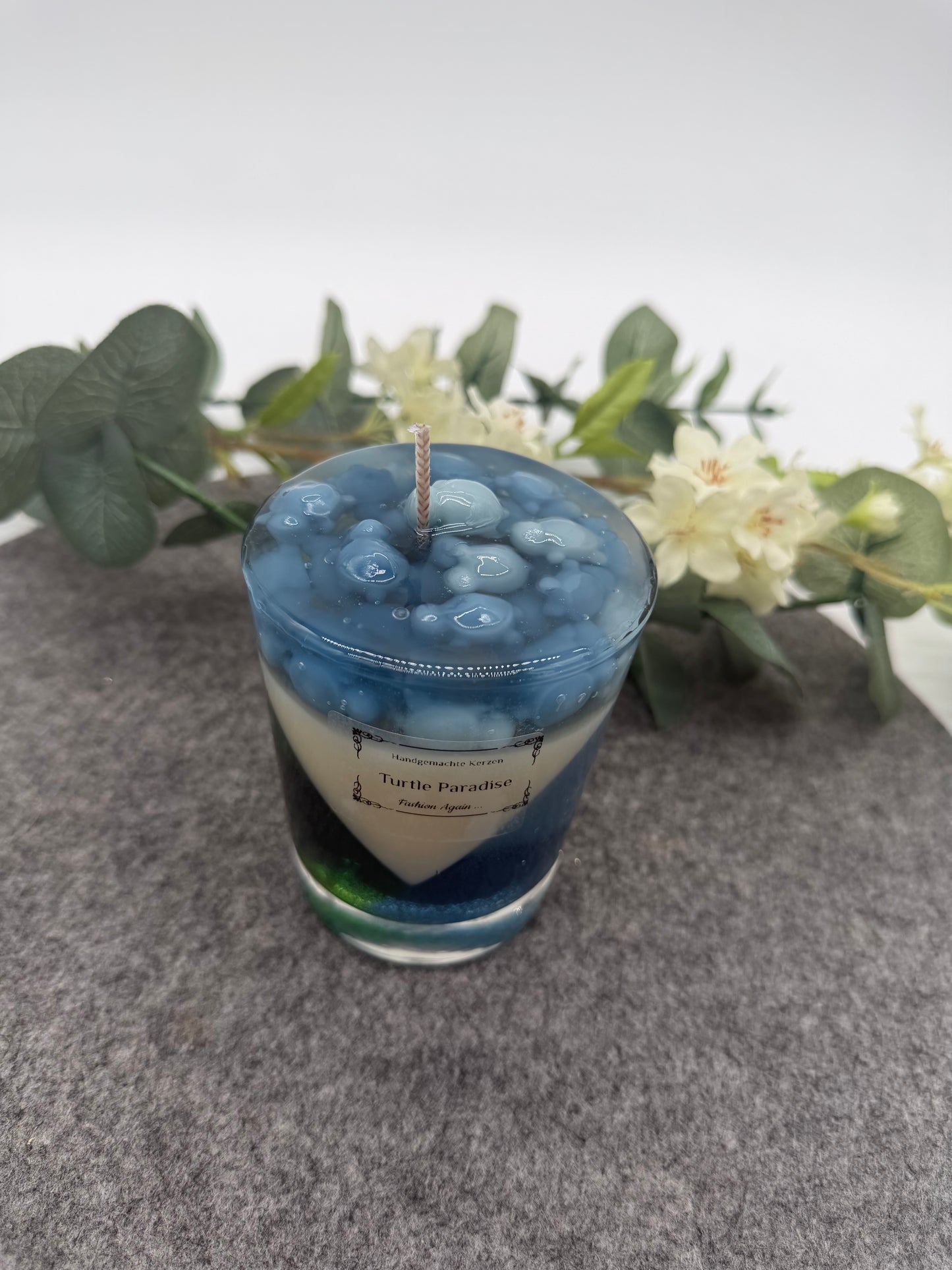 NEU Turtle Paradies 🕯️🐢