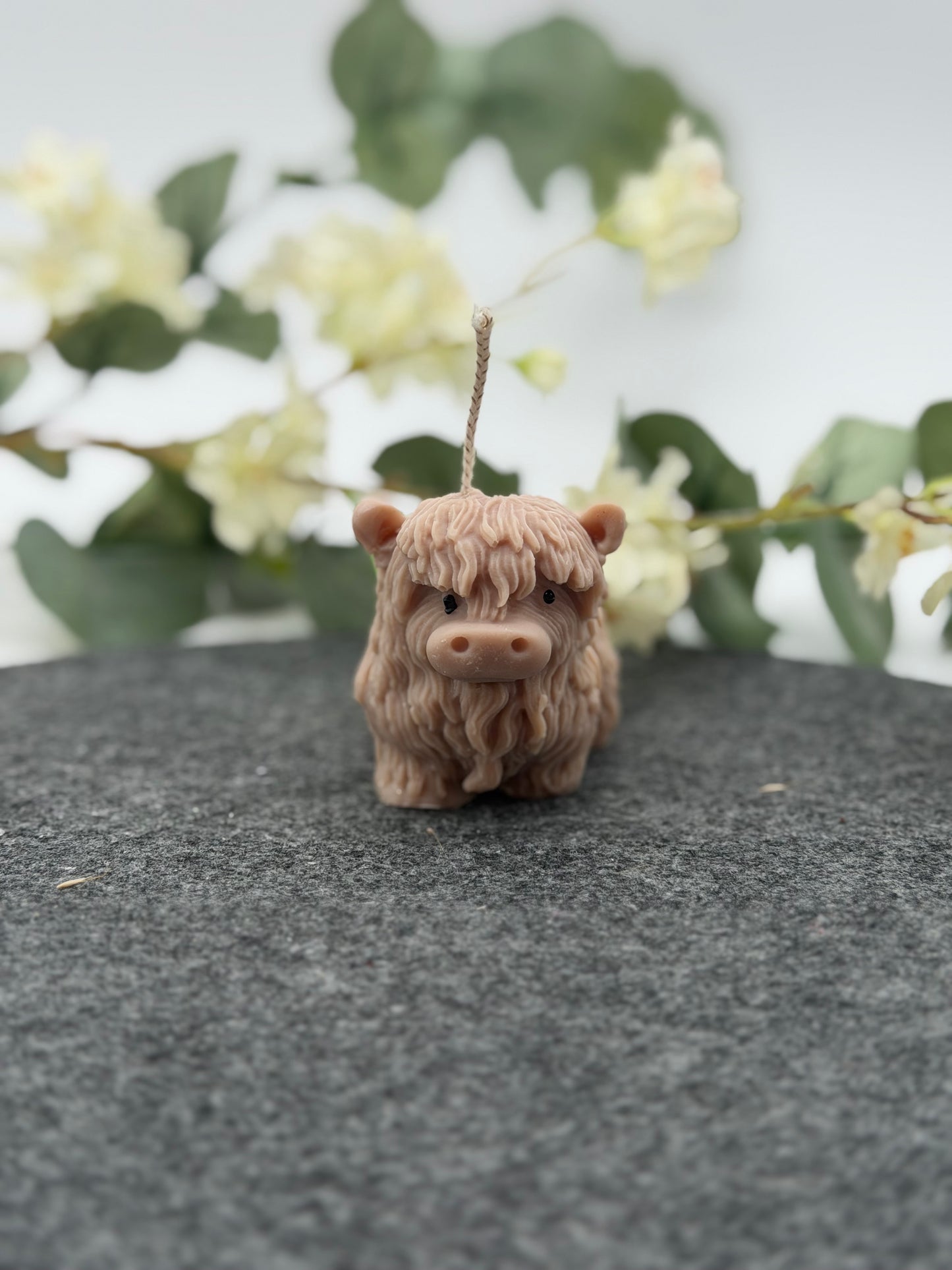 Flauschi