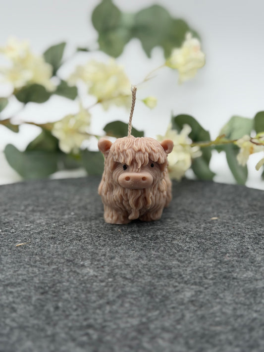 Flauschi